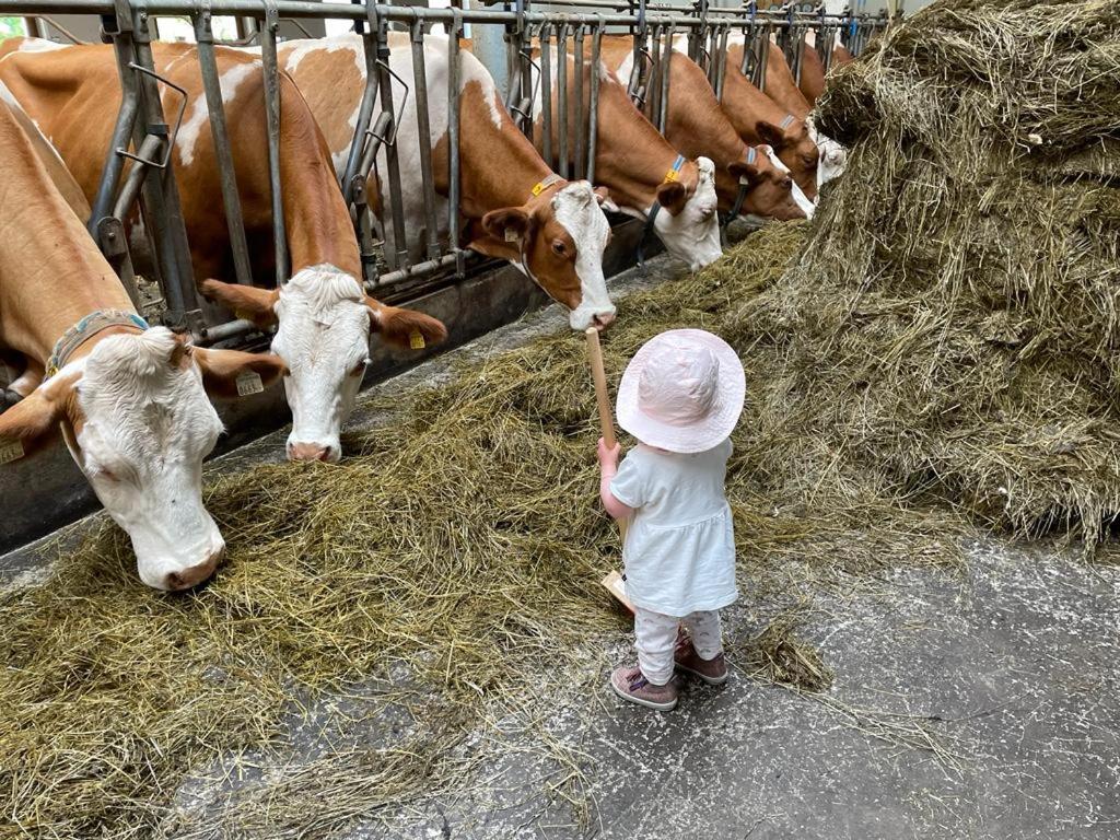 Ferienparadies Taxen Sankt Veit im Pongau Eksteriør billede