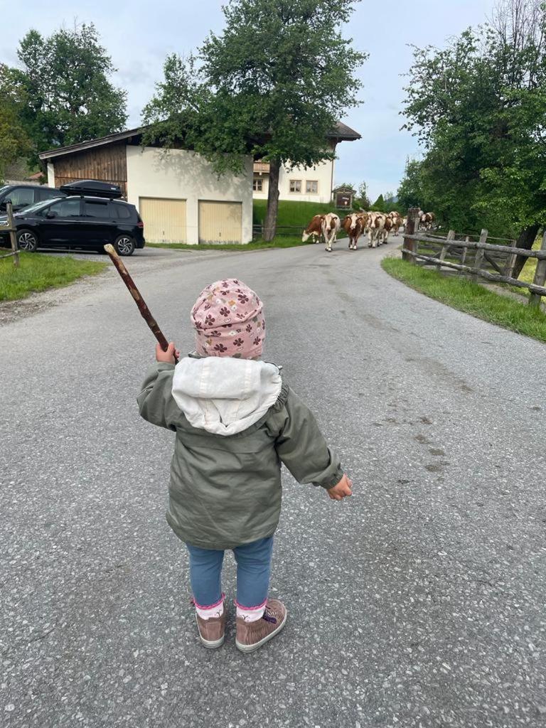 Ferienparadies Taxen Sankt Veit im Pongau Eksteriør billede