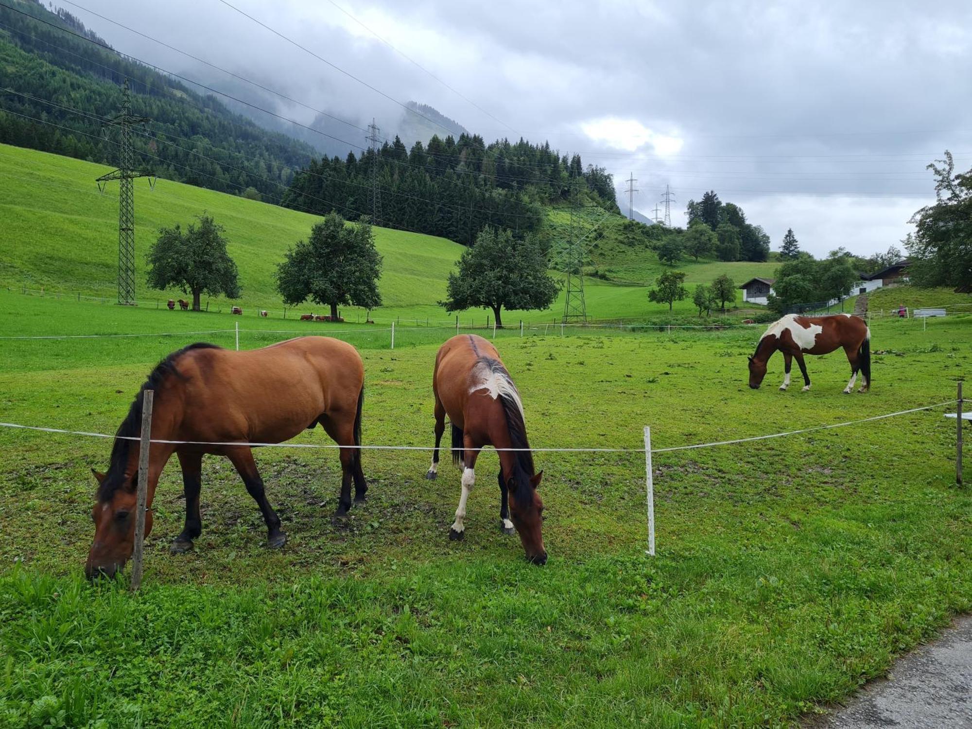 Ferienparadies Taxen Sankt Veit im Pongau Eksteriør billede