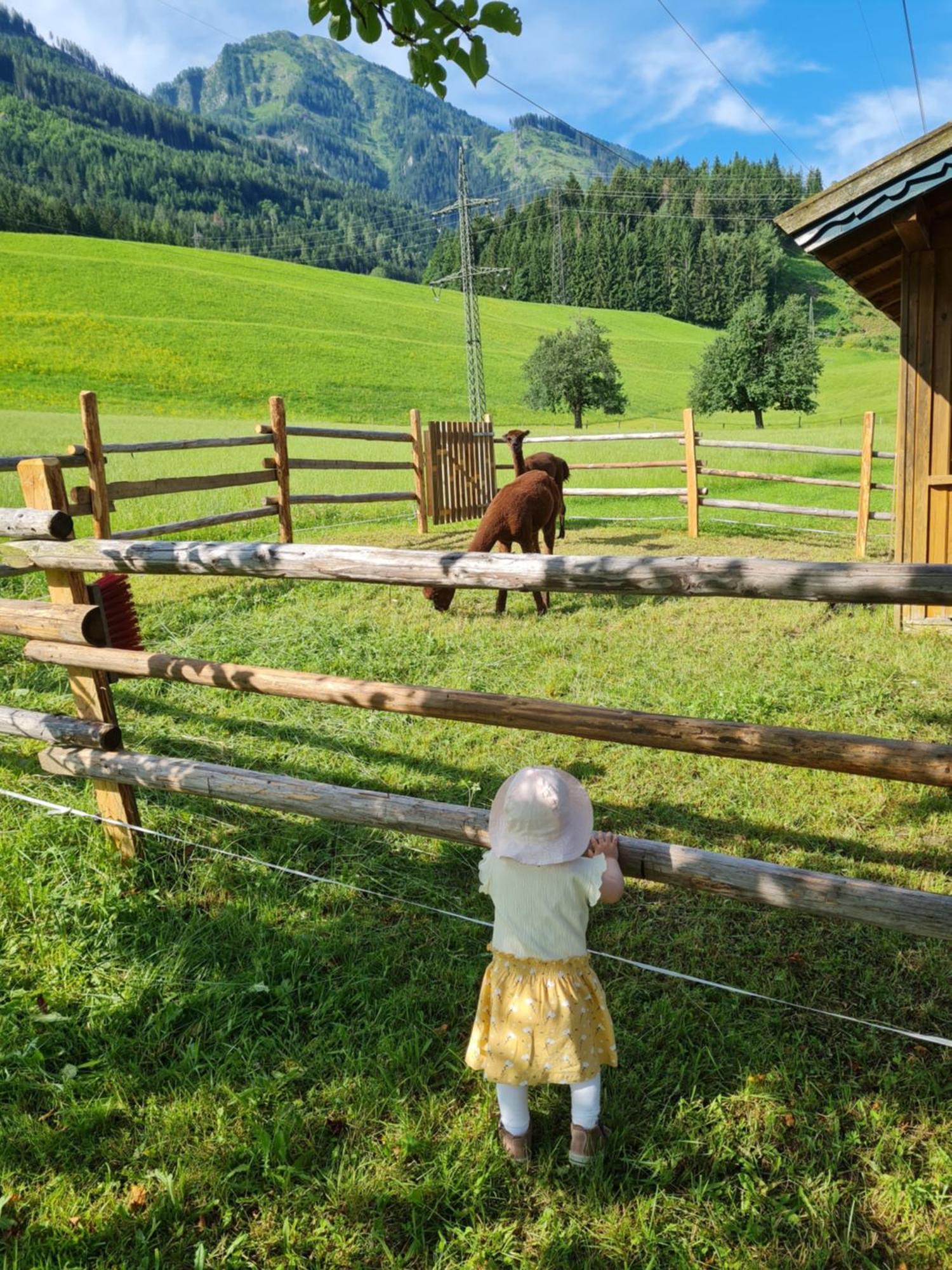 Ferienparadies Taxen Sankt Veit im Pongau Eksteriør billede