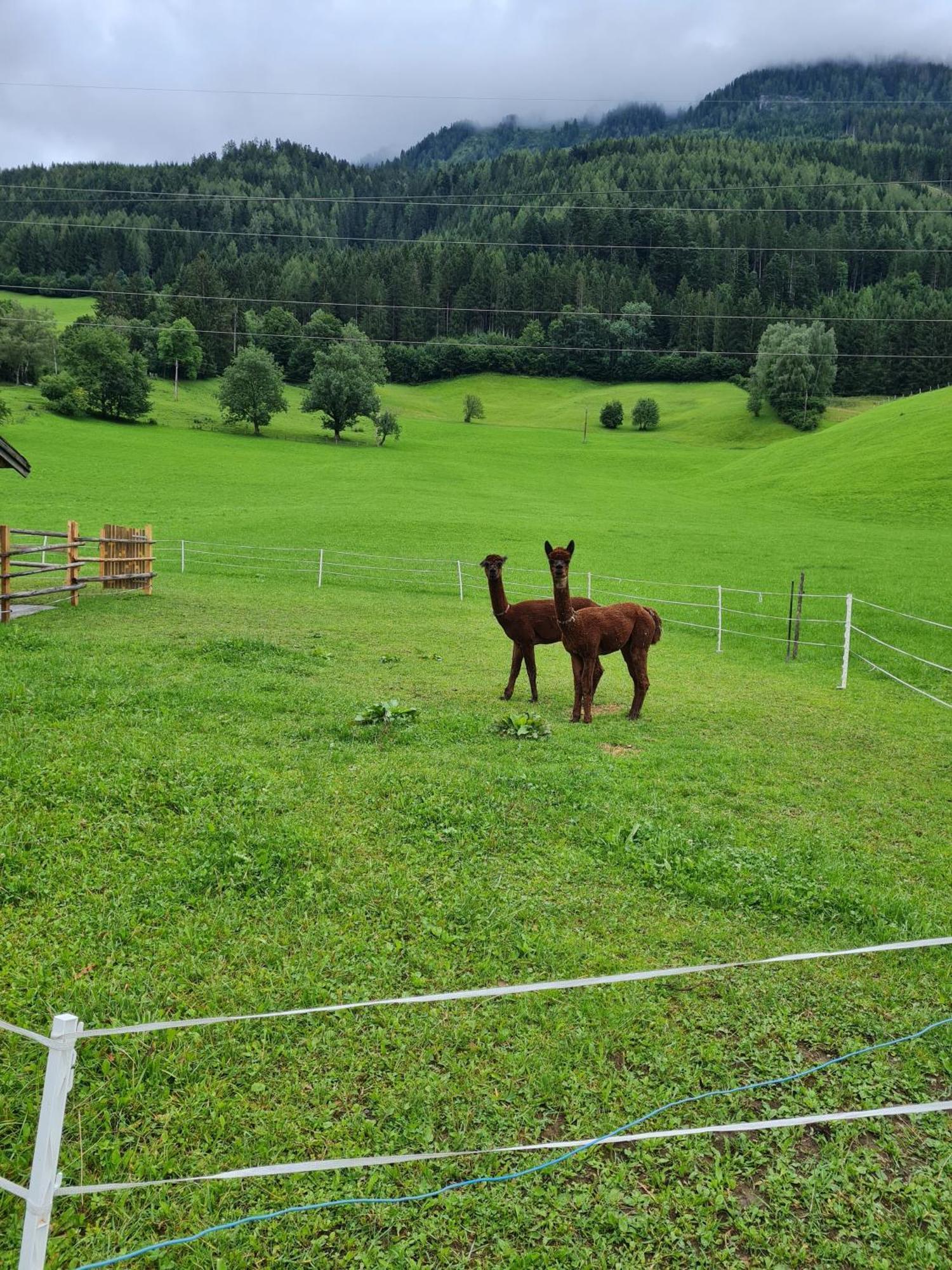 Ferienparadies Taxen Sankt Veit im Pongau Eksteriør billede